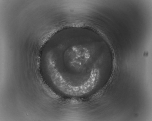 X0000108480305200904241307