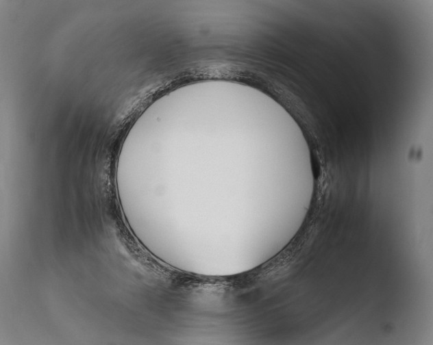 X0000108480306200904241307