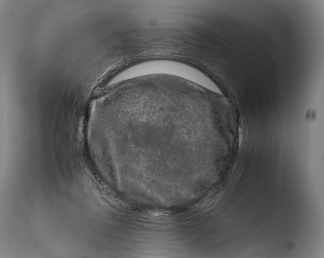 X0000108480308200904241307