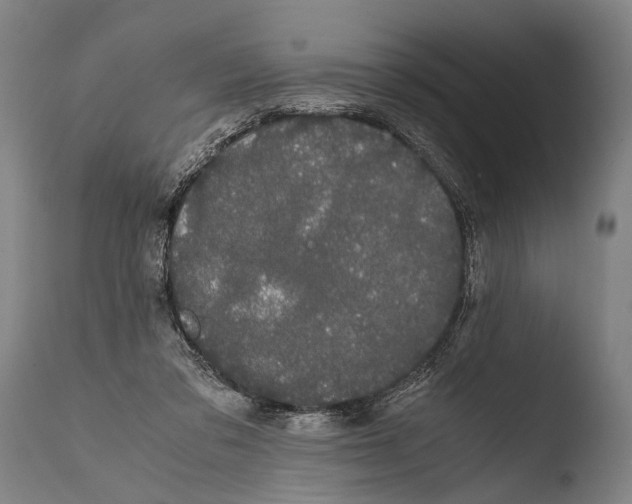 X0000108480309200904241307