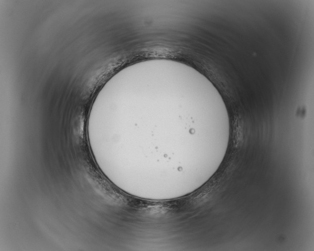 X0000108480310200904241307
