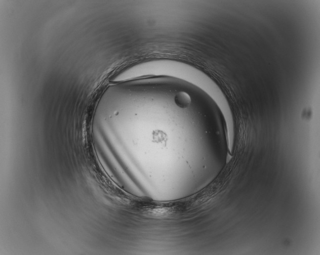 X0000108480312200904241307