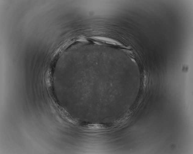 X0000108480316200904241306