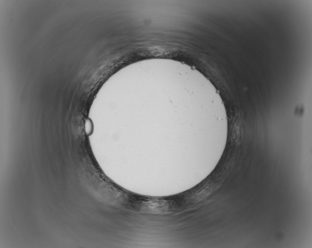 X0000108480317200904241306