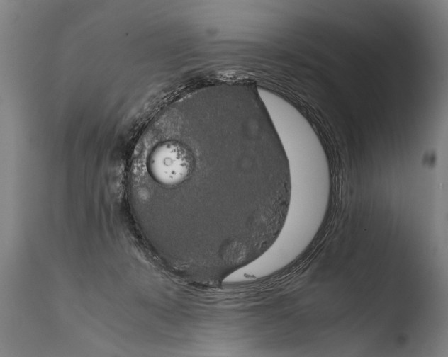 X0000108480319200904241306