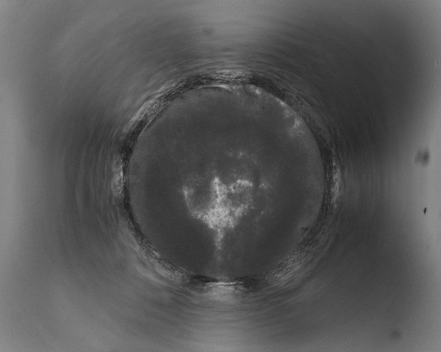 X0000108480320200904241306