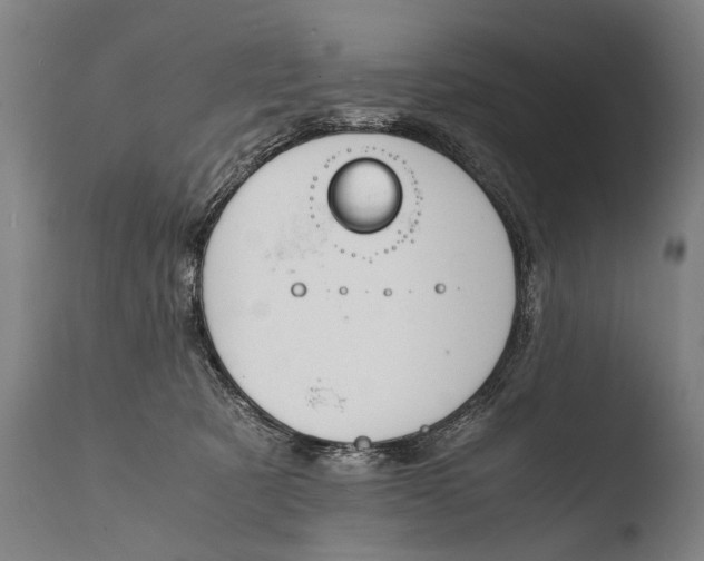 X0000108480321200904241306