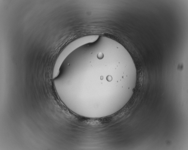 X0000108480322200904241306