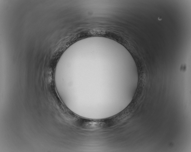 X0000108480323200904241306