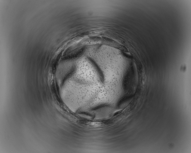 X0000108480324200904241306