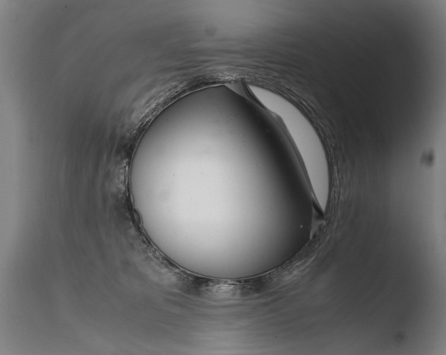 X0000108480325200904241306