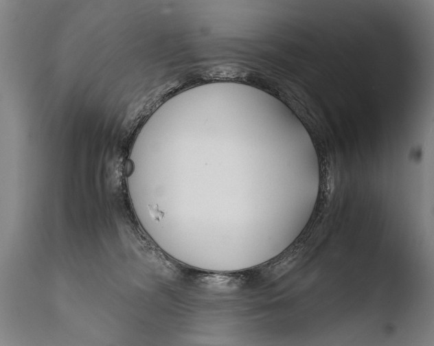 X0000108480326200904241306