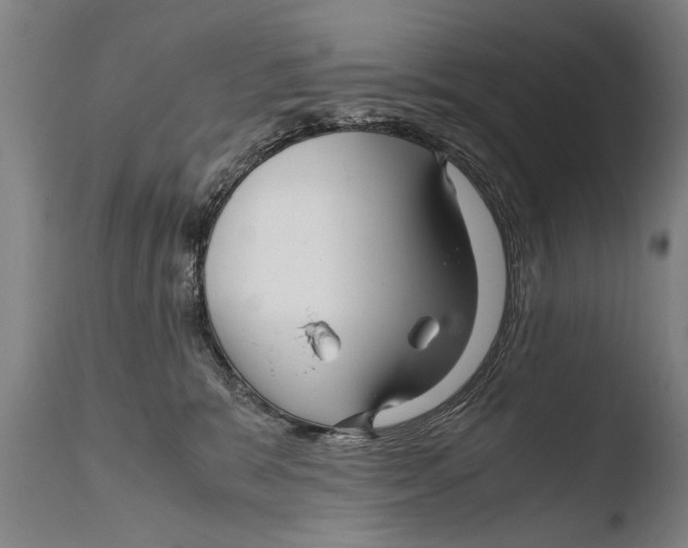 X0000108480327200904241306