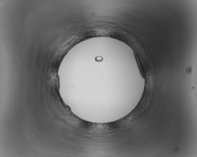 X0000108480329200904241306