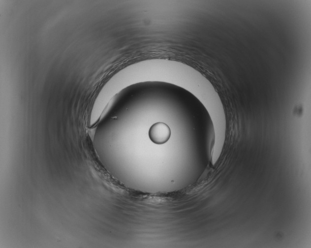 X0000108480332200904241306