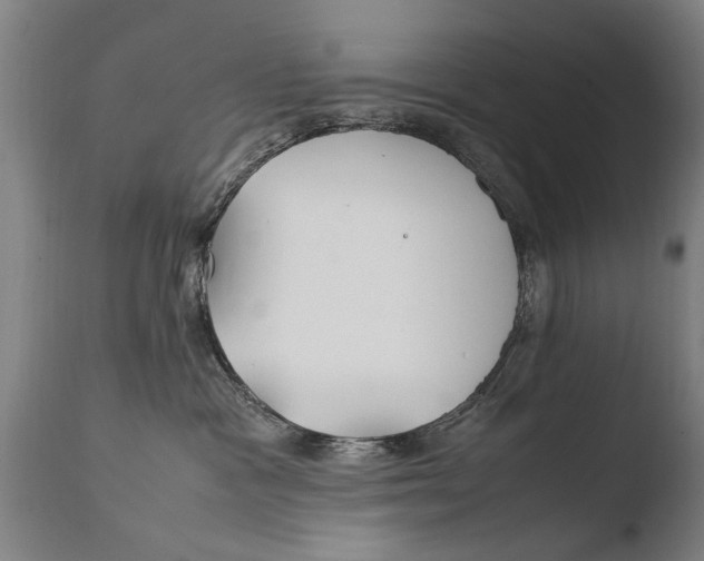 X0000108480333200904241306