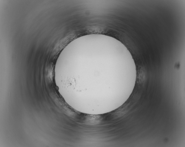 X0000108480334200904241306