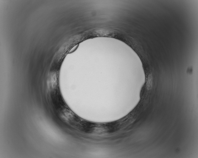 X0000108480335200904241306