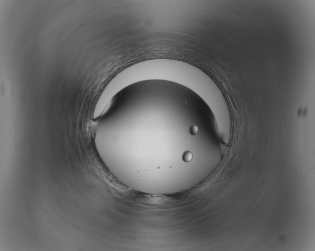 X0000108480336200904241306