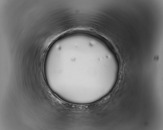 X0000108480337200904241306