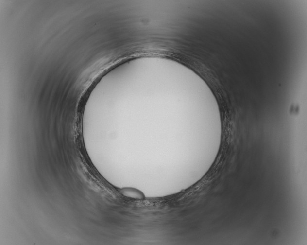 X0000108480338200904241306