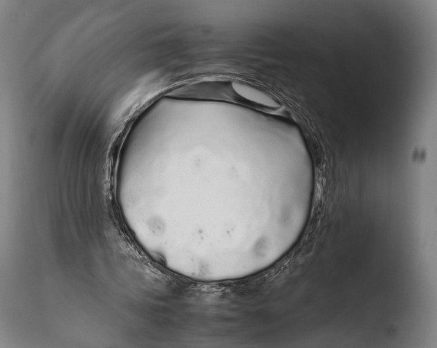 X0000108480339200904241306