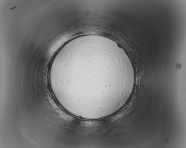X0000108480341200904241306