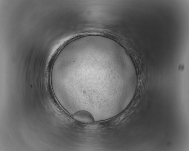 X0000108480342200904241306