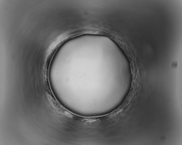 X0000108480343200904241306