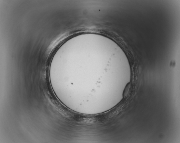 X0000108480344200904241306