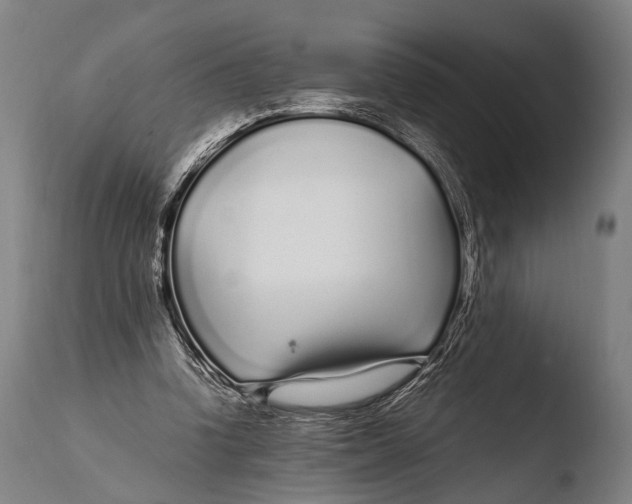 X0000108480346200904241306