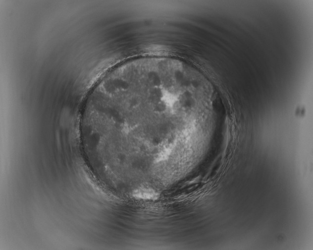 X0000108480347200904241306