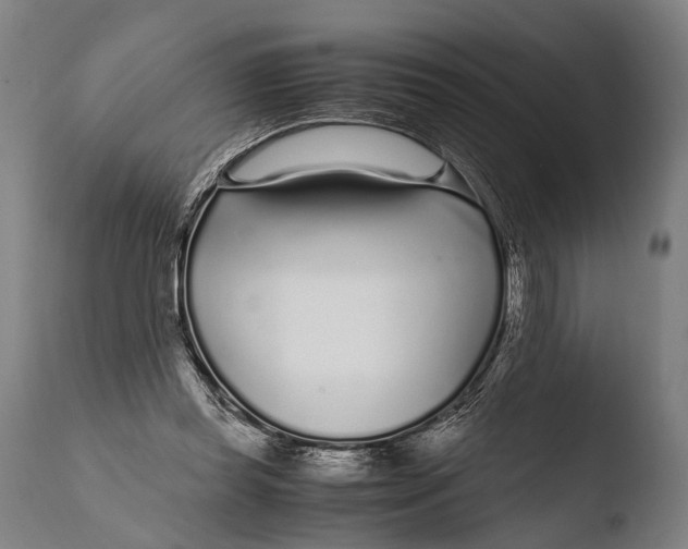 X0000108480349200904241306