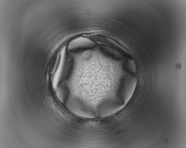 X0000108480350200904241306