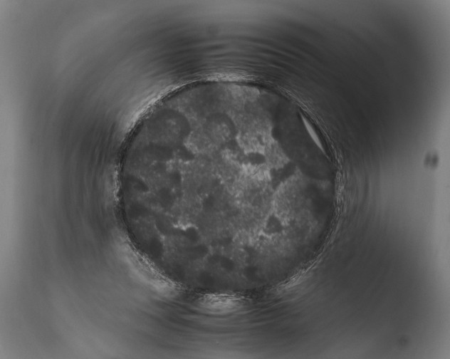 X0000108480351200904241306