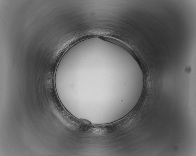 X0000108480352200904241306