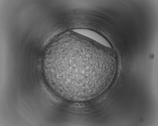 X0000108480353200904241306