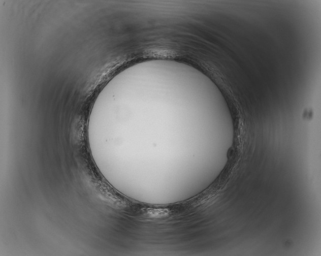 X0000108480355200904241306