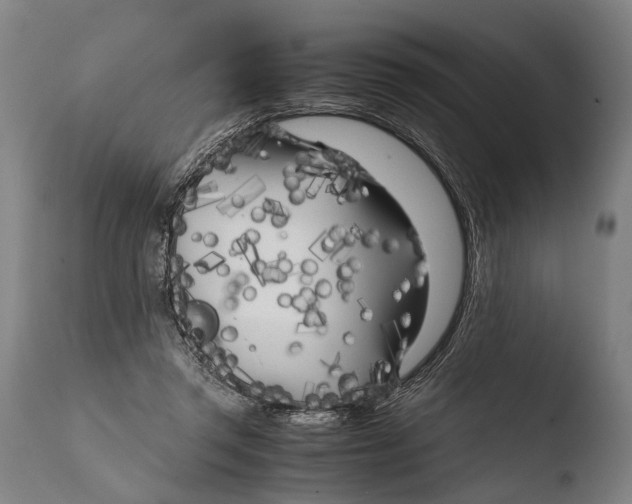 X0000108480357200904241306