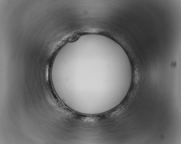 X0000108480358200904241306