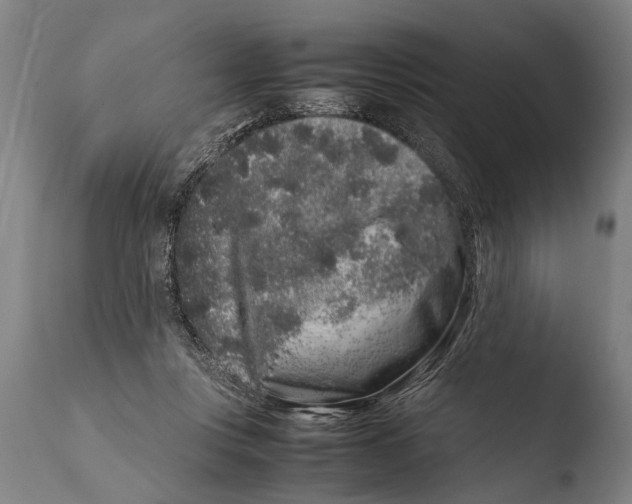 X0000108480359200904241306