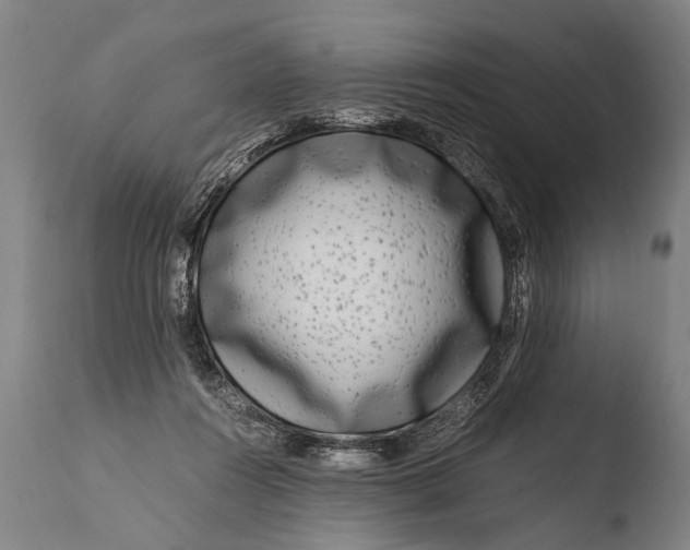X0000108480360200904241306