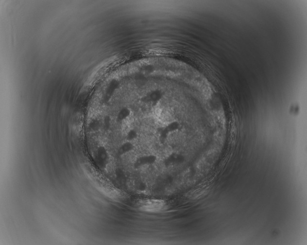 X0000108480361200904241306