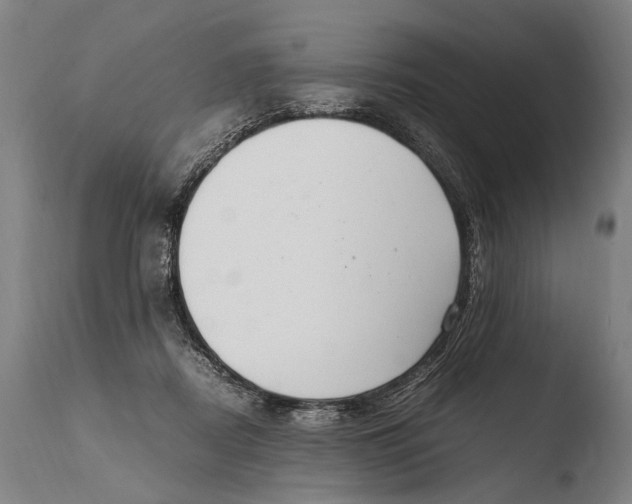 X0000108480362200904241306