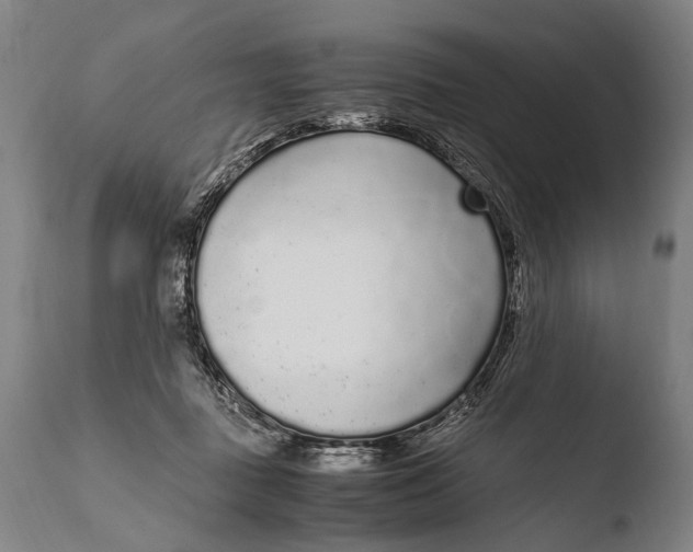 X0000108480363200904241306