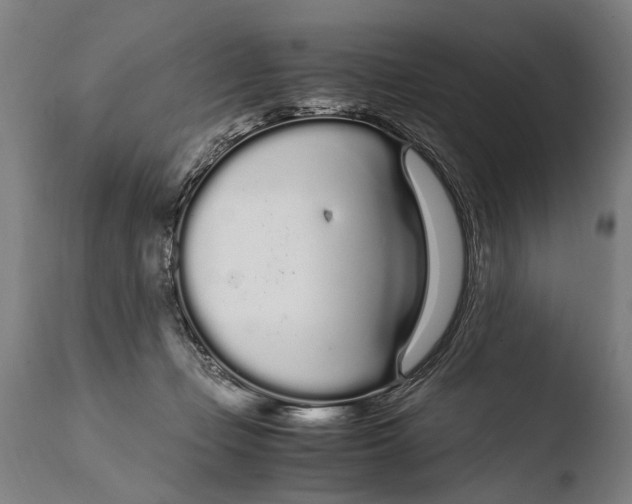 X0000108480365200904241306