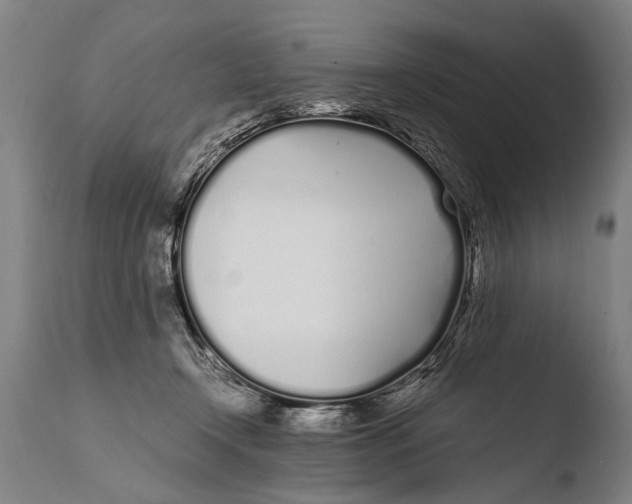X0000108480366200904241306