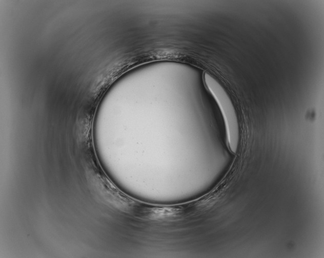 X0000108480367200904241306