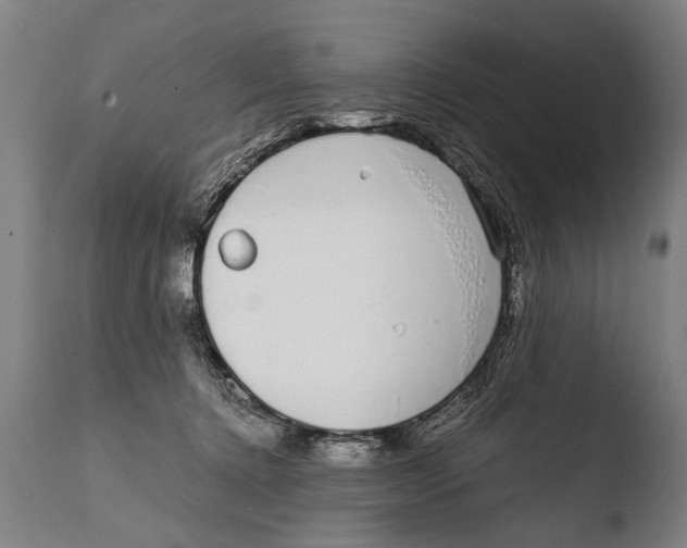 X0000108480368200904241306