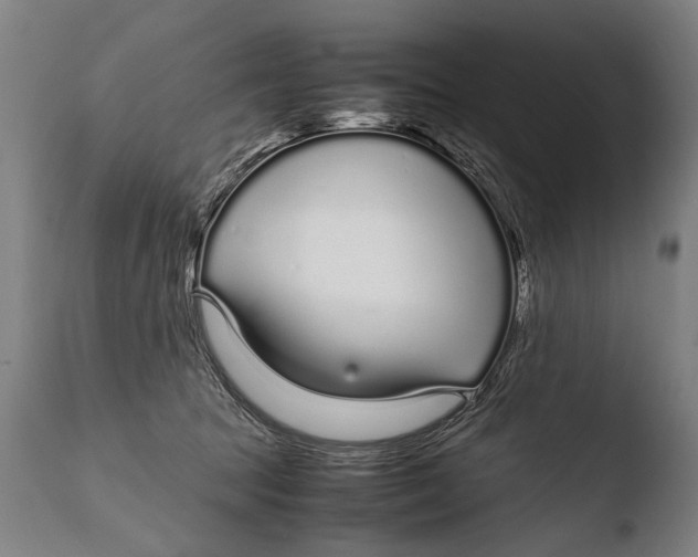 X0000108480369200904241306